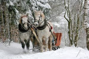 sleigh rides