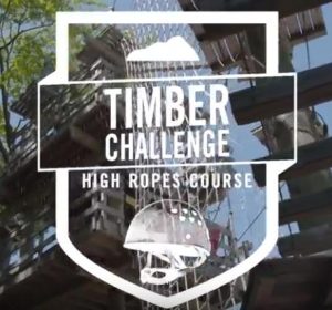 Timber Challenge High Ropes