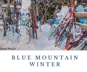 Blue Mountain Rentals Winter Activities
